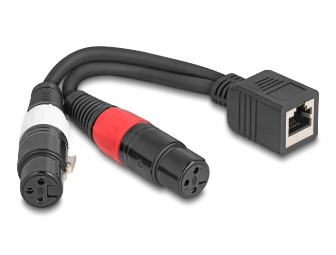 Delock Adapter RJ45 kábel anya - 2 x XLR 3 tűs anya fekete színű 20 cm
